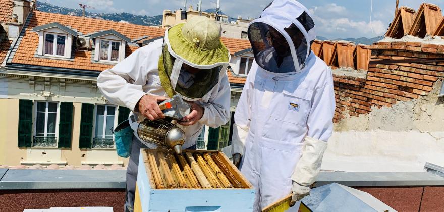 Green Hotel Florence Nice, a roof for our bees