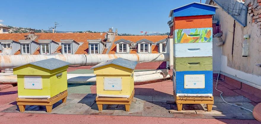 Towards sustainable tourism : Green Key Label awarded