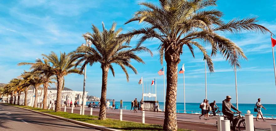 A spring holiday in Nice