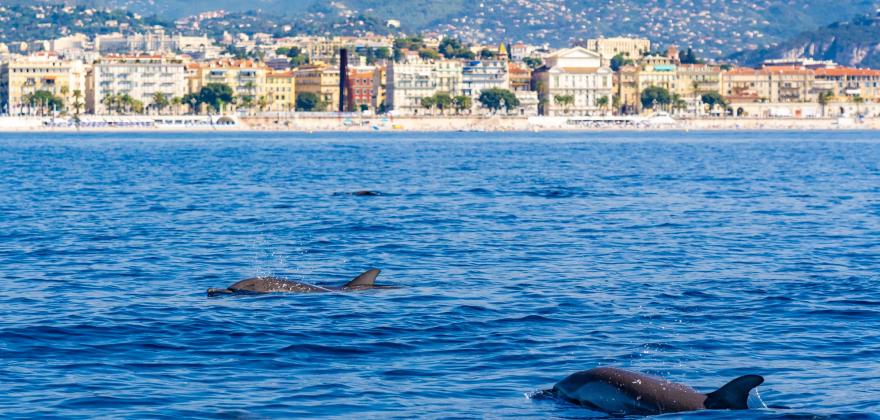 Responsible tourism: visit the French Riviera without polluting the sea!
